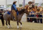 Pferd Rosi und Ute beim Cutting 2 - Kopie.JPG